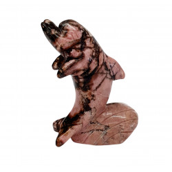 dolphin rhodonite