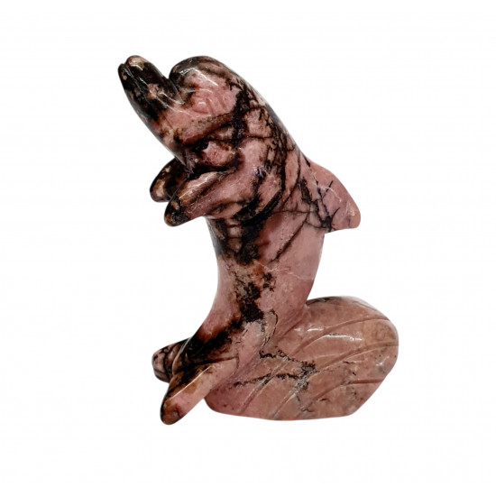 dolphin rhodonite