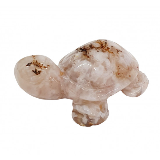 turtle flower agate