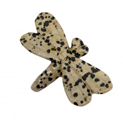 dragonfly dalmatian jasper