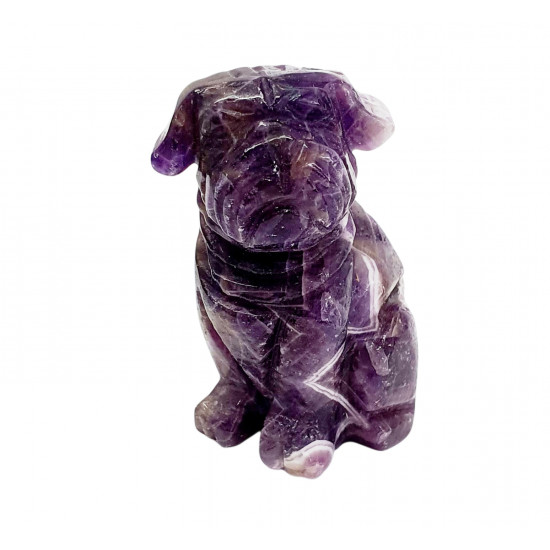 chien amethyste