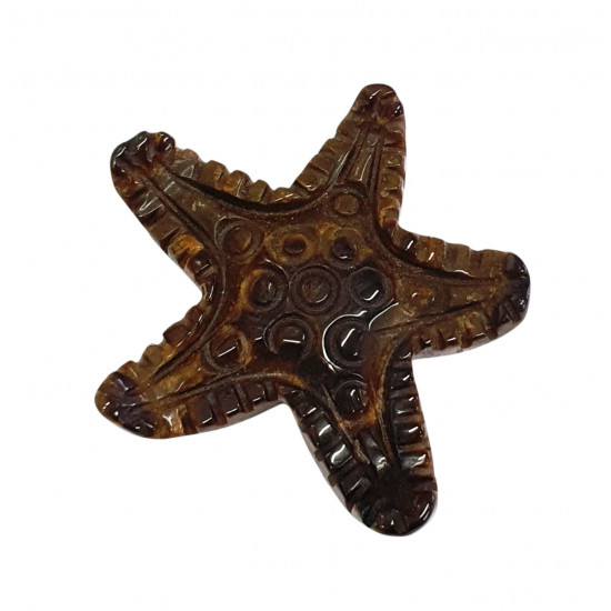starfish Tiger eye