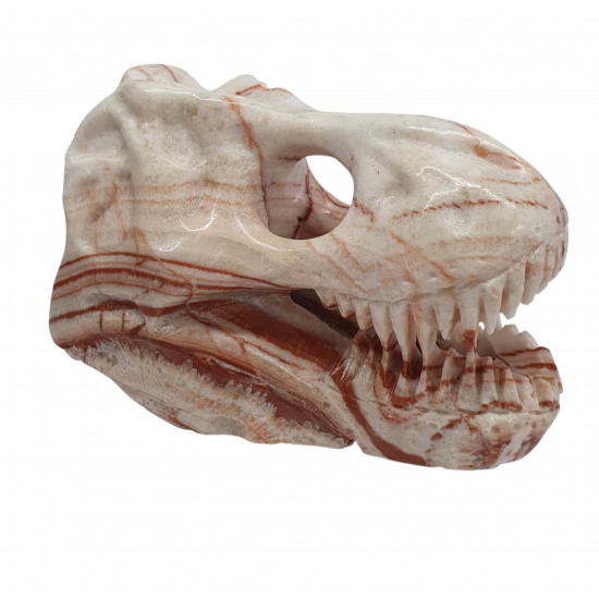 Tyrannosaurus skull marble