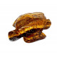 Tortue oeil de tigre