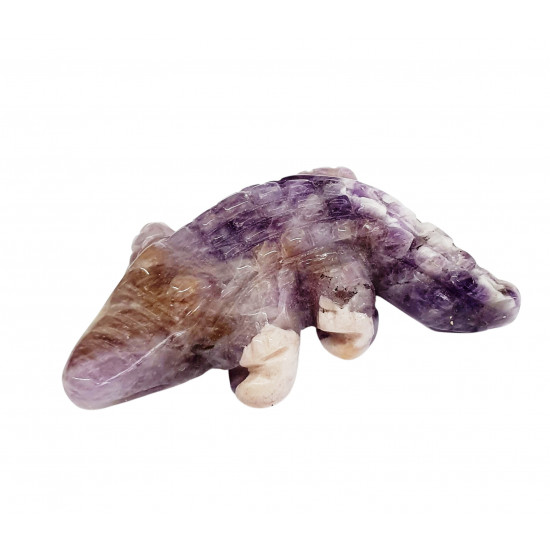 crocodile amethyste