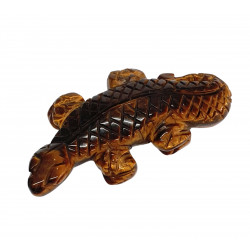 lezard Tiger eye