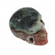 Skull ocean jasper