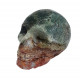 Skull ocean jasper