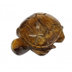 Sea Turtle tiger eye