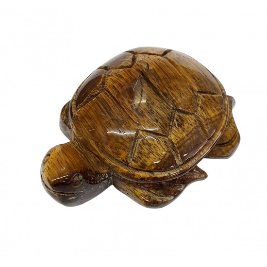 Sea Turtle tiger eye