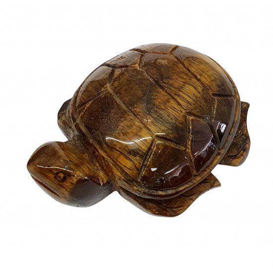 Sea Turtle tiger eye