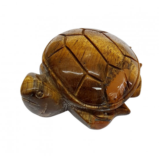 Sea Turtle tiger eye
