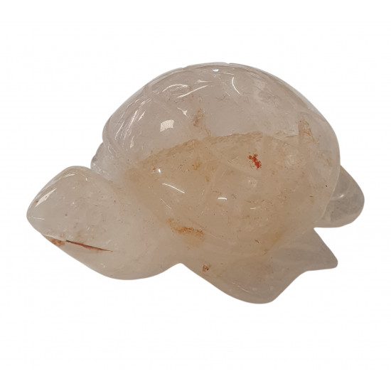 Sea Turtle quartz