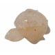 Sea Turtle quartz