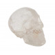 skull quartz