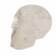 skull quartz