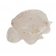 Sea Turtle quartz