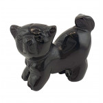 chien onyx noire