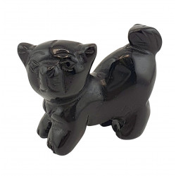 dog black onyx
