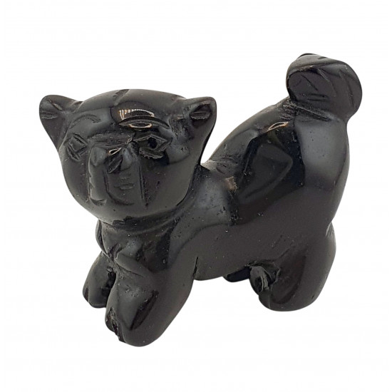 dog black onyx