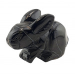 Lapin onyx noire