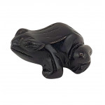 Grenouille onyx noire