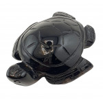Tortue onyx noire