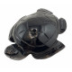 Tortue onyx noire