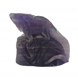 Iguana fluorite