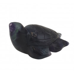 Turtle fluorite