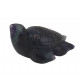 Tortue en fluorine