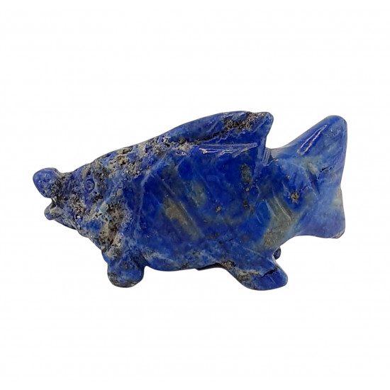Fish Lapis lazuli