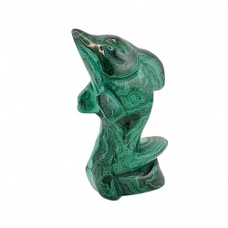 dolphin malachite