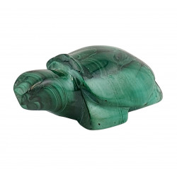 turtle malachite