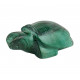 turtle malachite
