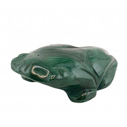 frog malachite