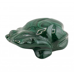 frog malachite