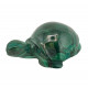 turtle malachite