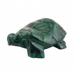 turtle malachite