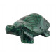 turtle malachite