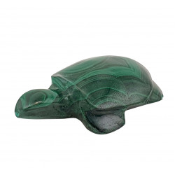 turtle malachite