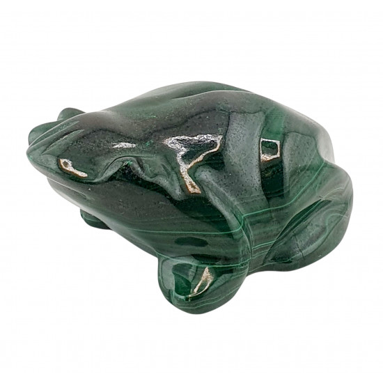 frog malachite
