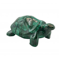turtle malachite