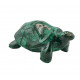 turtle malachite