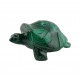 turtle malachite