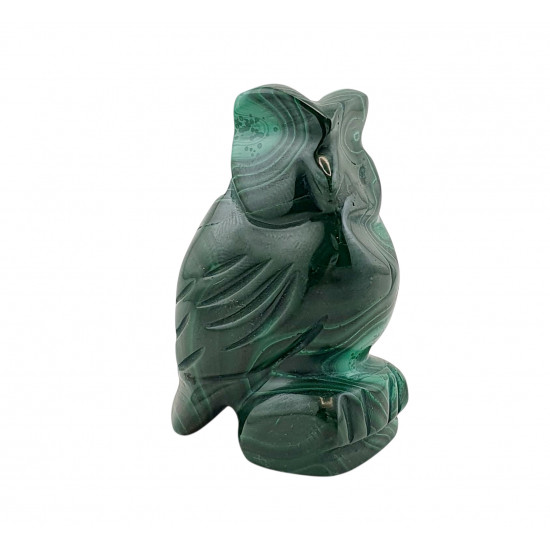 owl malachite