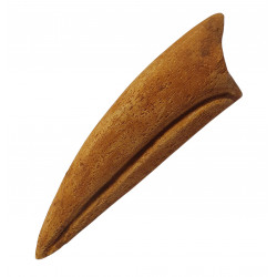 spinosaurus aegypticus (claw)