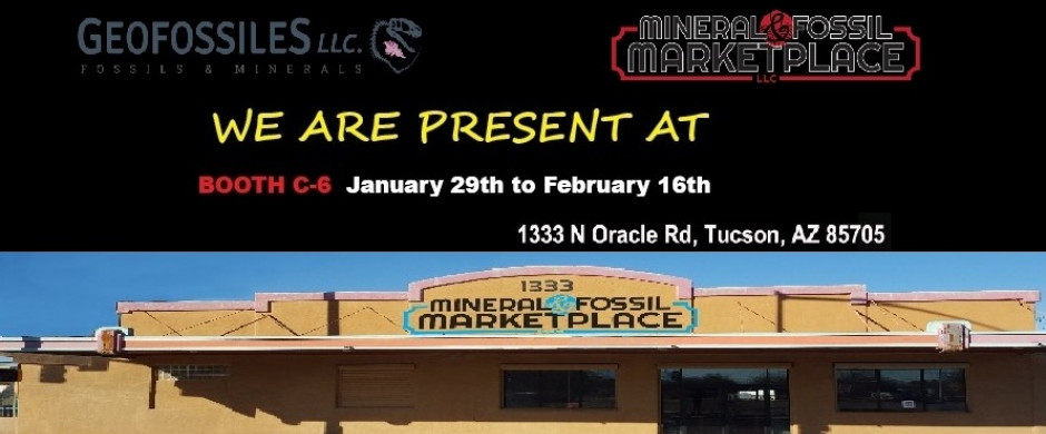 Tucson MarketPlace Mineral Fossil 2026