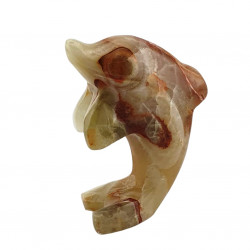dolphin onyx