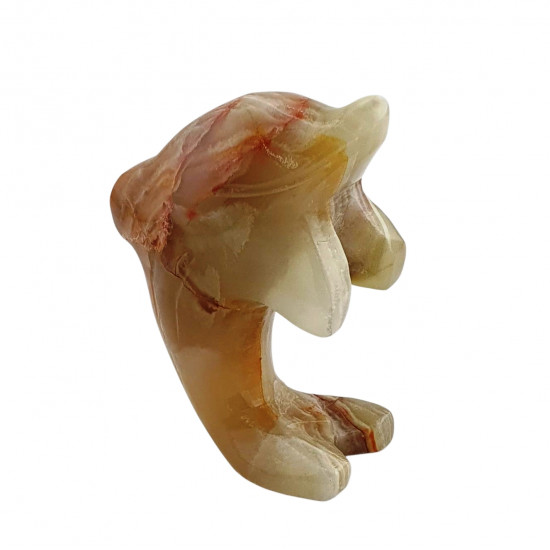 dolphin onyx
